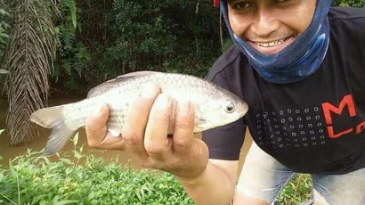 Mancing Ikan Nilem di Sungai Menggunakan Umpan Kelapa Muda
