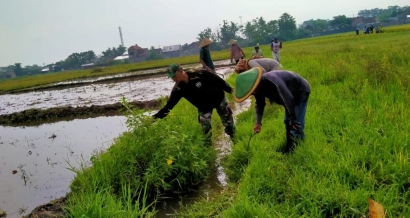Petani Desa Grati Siap Jaga Kebersihan Saluran Irigasi