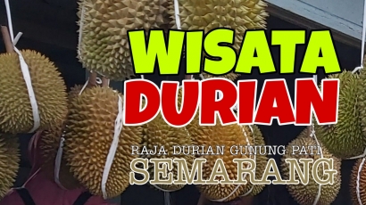 Di Raja Durian Gunung Pati, Bebas Pilih Rasanya!