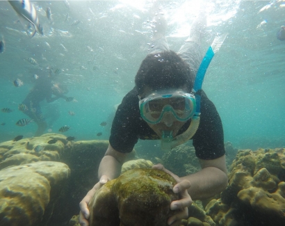 Dari Menjajal Tol Jokowi sampai "Finding Nemo" di Pulau Tegal Mas Lampung