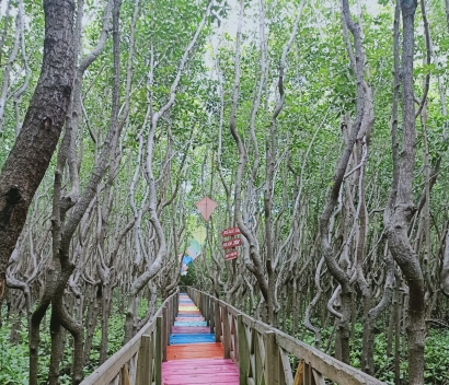 Tersangkut di Taman Mangrove Kota Sinjai
