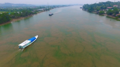 Teknik Pemupukan Tak Tepat Sebabkan Pencemaran Sungai Segah, Berau