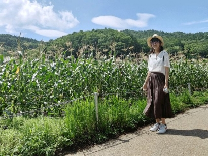 Nature, Hijau, dan Ladang Jagung di Situs Alam Oshino Hakkai Narusawa Village