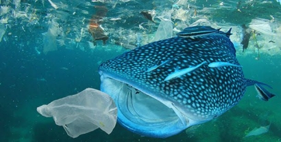 Sampah Plastik, Ancaman bagi Ekosistem Laut