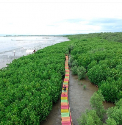 Ekowisata Mangrove melalui Bottom Up Planning dan Sinergi Lintas Sektor