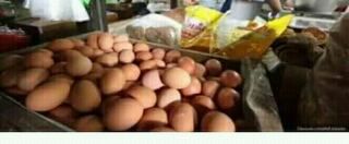 Kenapa Harga Telur Mencapai 30 Ribu per Kg?
