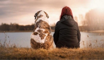 Anjing dan Manusia