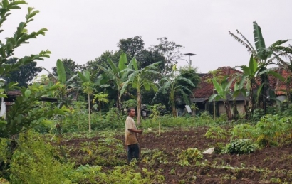 Sektor Pertanian Masih Terus Menjanjikan hingga Saat Ini di Dramaga Bogor