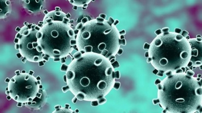 Virus Corona Masuk ke Indonesia, Siapa yang Disalahkan?
