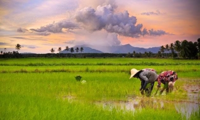 Pertanian Tolak Ukur Kesejahteraan Rakyat Indonesia