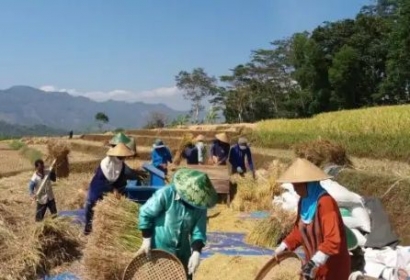 Banyak Petani di Desa Tak Hafal Pancasila, Namun Telah Menerapkannya