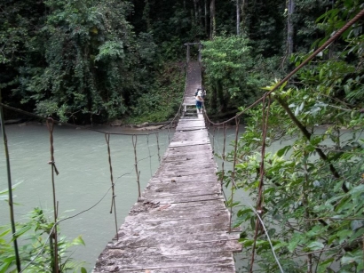 Pembangunan Jalan dan Jembatan pada Rute Fef-Miyah Kabupaten Tambrauw