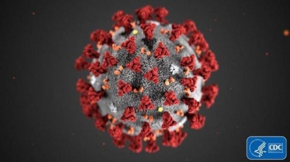 Mutasi Virus Corona dan Siklus Hidupnya
