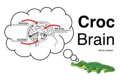 Bahayanya Penggunaan Croc Brain