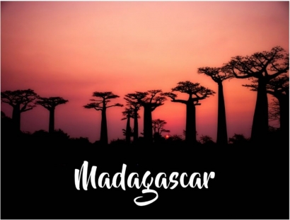 Enigma Evolusi di Madagaskar dan Pelajaran tentang Makanan dari Govardhan