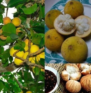 Kumpulan Artikel Terbaru Rujak Kompasiana Com