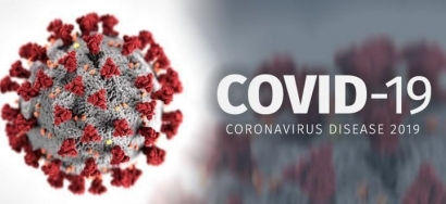 Pengaruh Corona Virus Disease 2019 (Covid-19) terhadap Sektor Pertanian