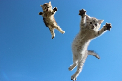 Skenario Animasi Pendek: Kucing Super Indonesia
