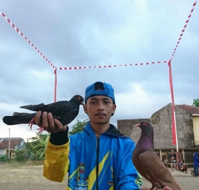 Remaja Ini Mendulang Puluhan Juta Rupiah dari Budidaya Burung Merpati