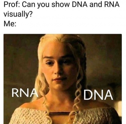 Apasih Bedanya DNA dan RNA?