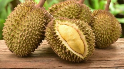 [Short Scenario Film] Nyolong Durian
