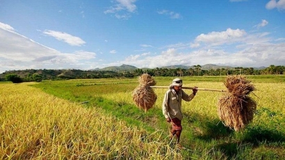 10 Alasan Pentingnya Meningkatkan Minat Masyarakat terhadap Sektor Pertanian