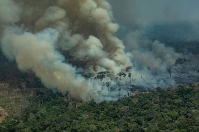 Cegah Mafia Pembakar Hutan agar Tidak Bencana Seperti Brasil