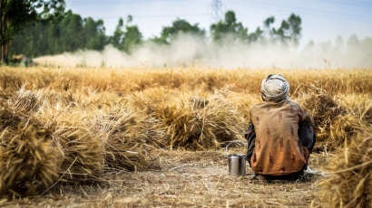 Model Cooperative Farming dalam Usaha Pertanian Rakyat sebagai Kunci Kesejahteraan Petani