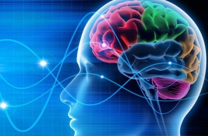 "The Triune Brain" dan Bagaimana Otak Bekerja Merespons Pandemi Covid-19
