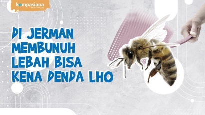 Di Jerman, Membunuh Lebah Bisa Kena Denda Lho