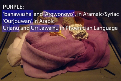 Nuansa Jawa pada Kata Ungu dalam Bahasa Phoenicia dan Bahasa Kuno Lainnya