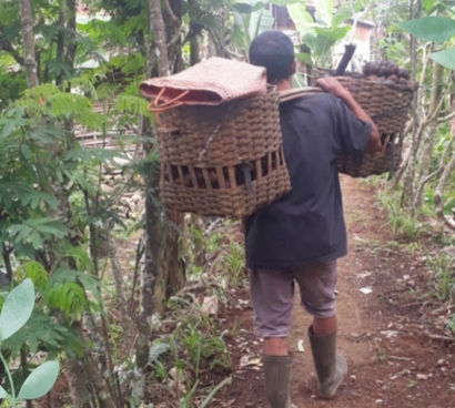 KKN Pulang Kampung: Tumbuhkan Jiwa Wirausaha Pemuda Desa Plumbungan
