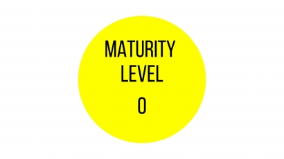 Maturity Level pada Diri Manusia (Refleksi Risk-Based Internal Auditing)