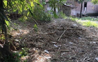Mahasiswa UNDIP Memanfaatkan Daun Bambu Menjadi Pupuk Kompos