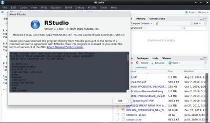 RStudio Ubuntu x86