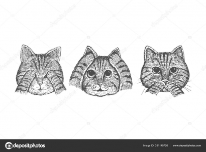 Trio Kucing