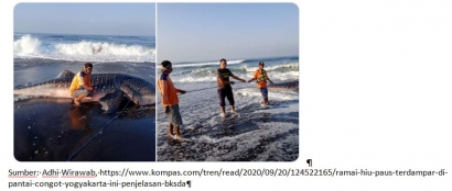 Apakah Sampah Plastik di Laut Menjadi Penyebab Kematian Hiu Paus di Pantai Congot, Kabupaten Kulon Progo?