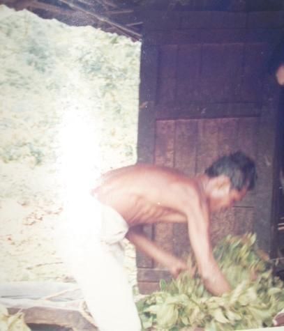 Tukang Kampo Menggadaikan Nyawa Demi Sesuap Nasi