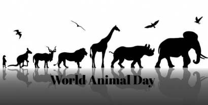 [World Animal Day] Masih Tersisa Harapan