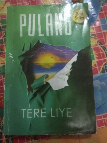Review Novel "Pulang" dan "Pergi" Karya Tere Liye