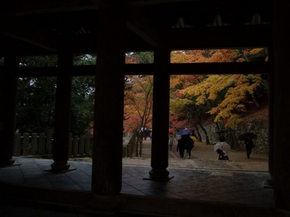 Kuil Eigenji dengan Pesona Musim Gugur, Suara Burung, dan Gemercik Air