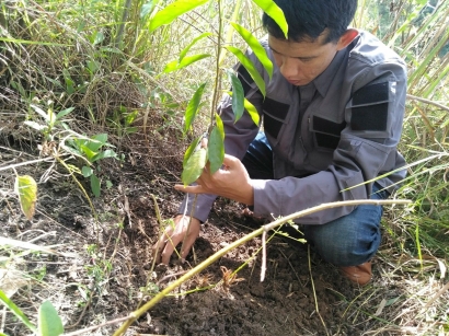 Hari Sumpah Pemuda, GBH Menanam Pohon di Hutan Sibaganding