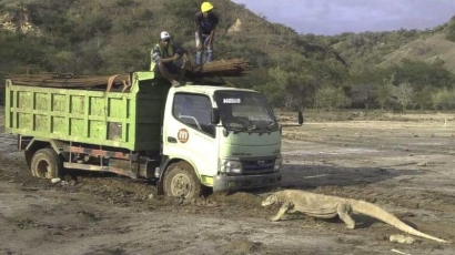 Foto Viral "Jurassic Park" Versi Indonesia Menuai Kekhawatiran