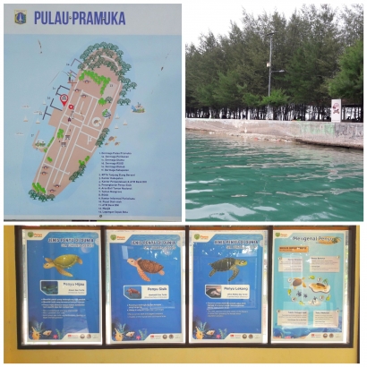 Wisata ke Pulau Pramuka, Bermodal Rp 570 Ribu (US$ 34)