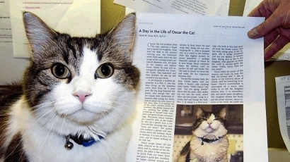 Kucing Oscar Mampu Meramalkan Kematian