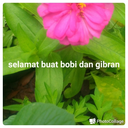 Owah Gingsir (4): Selamat buat Mas Gibran dan Bung Bobi