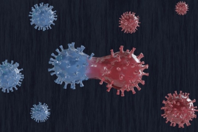 Bursa Transfer Virus Mutasi