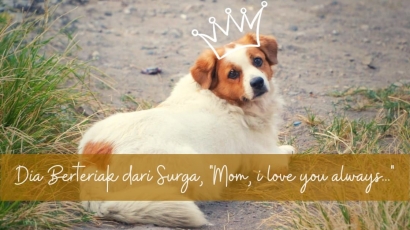 Anjing Saya Berteriak dari Surga, "Mom, I Love You Always..."