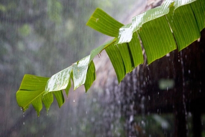 Perihal Hujan, Alam, dan Kenangan