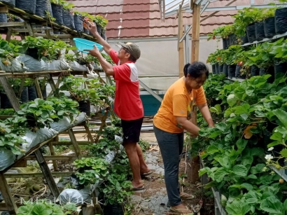 Merawat Kemesraan Pasangan dan Keluarga Lewat Urban Farming